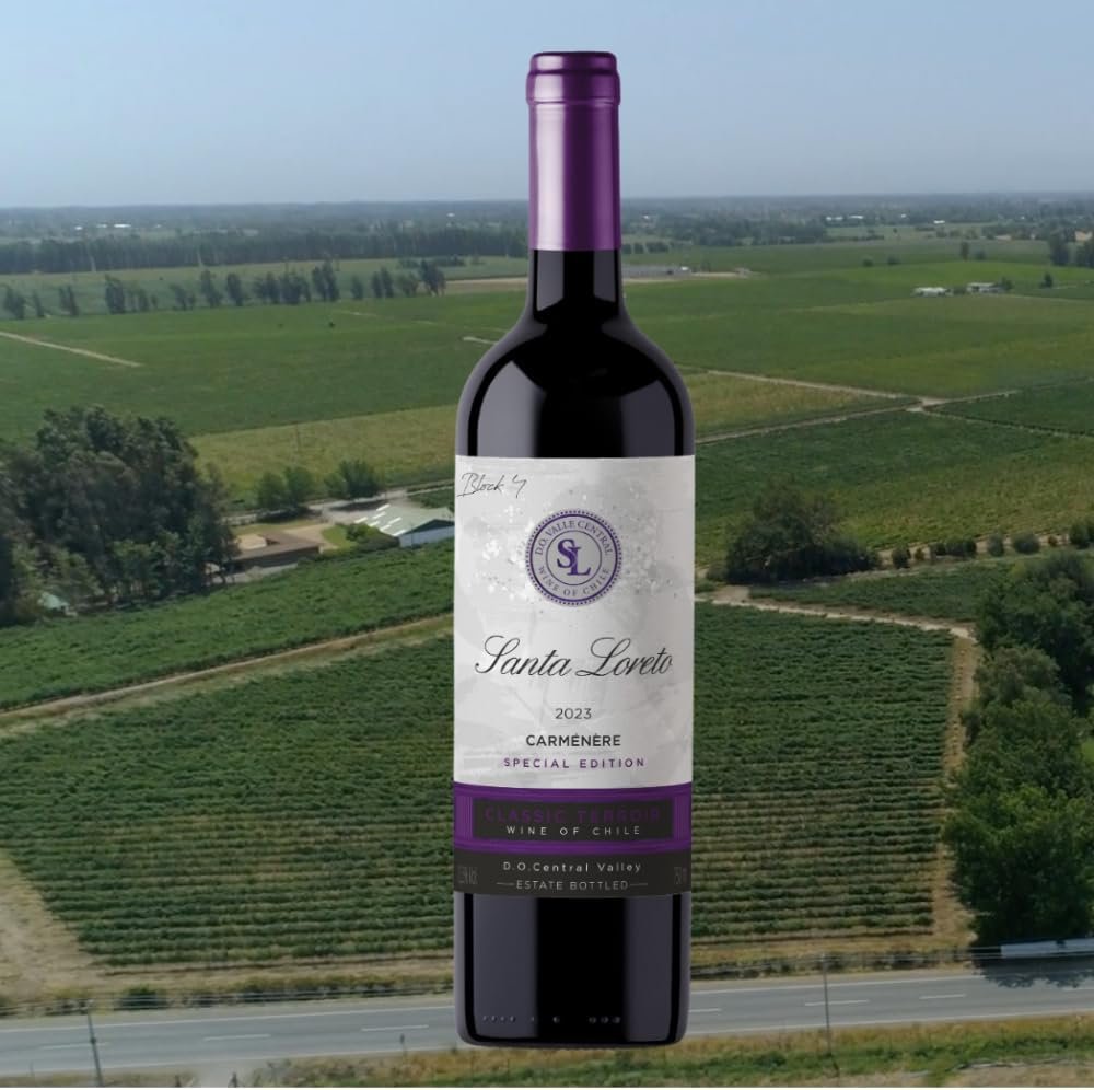 Vinho Fino Tinto Chileno Santa Loreto Varietal Carmenere 750ml - Imagem 5
