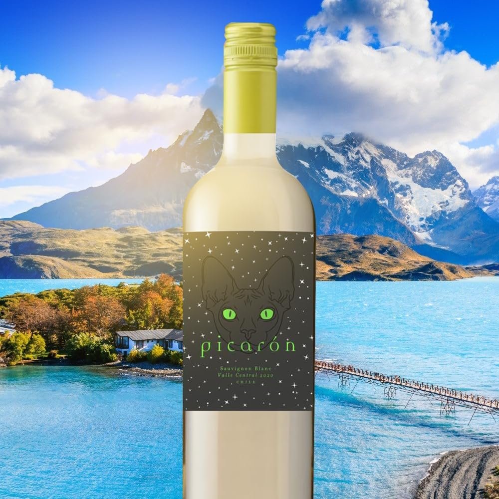 Vinho Chileno Picarón Sauvignon Blanc 750ml - Imagem 2