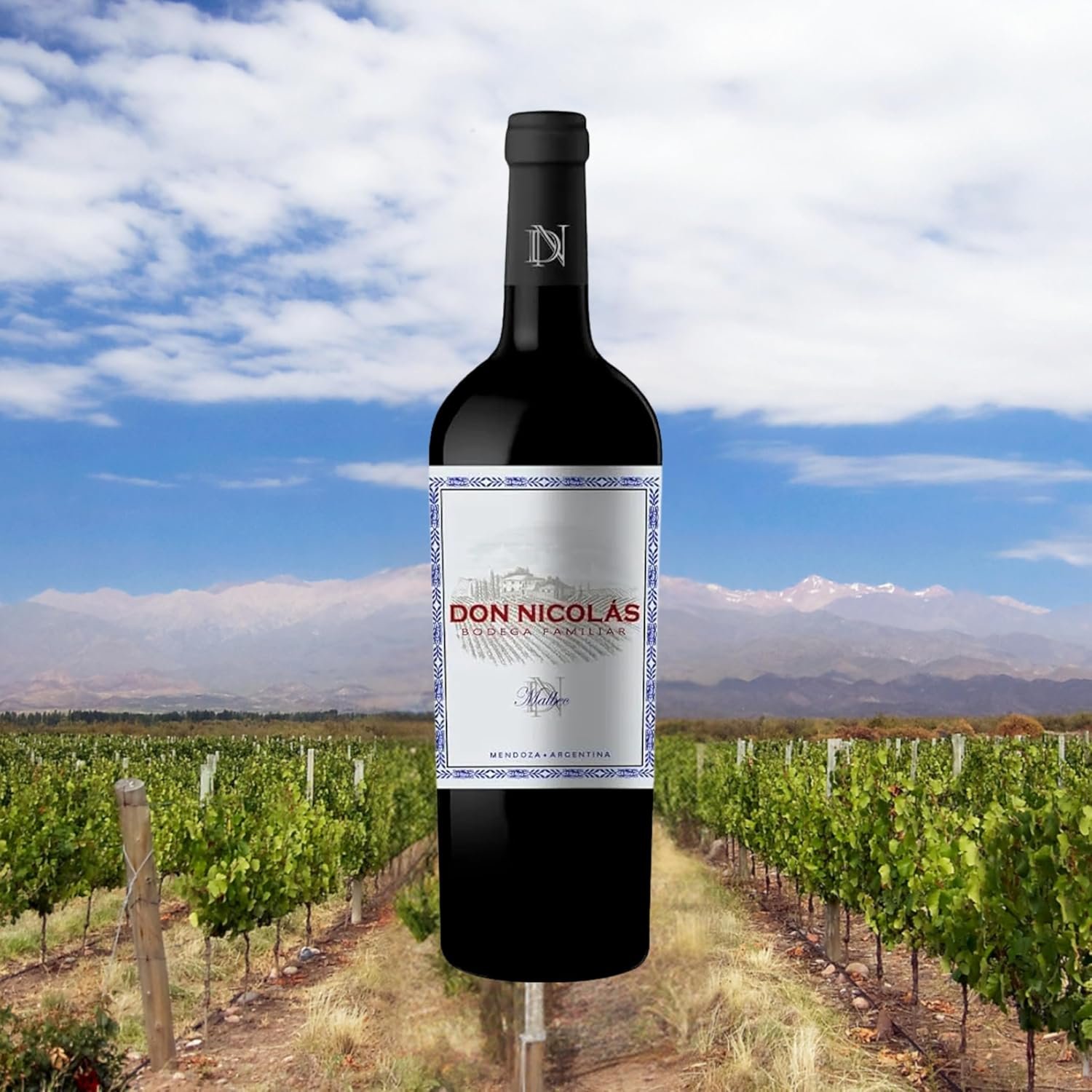 Don Nicolás Vinho Tinto Argentino Malbec 750Ml - Imagem 2