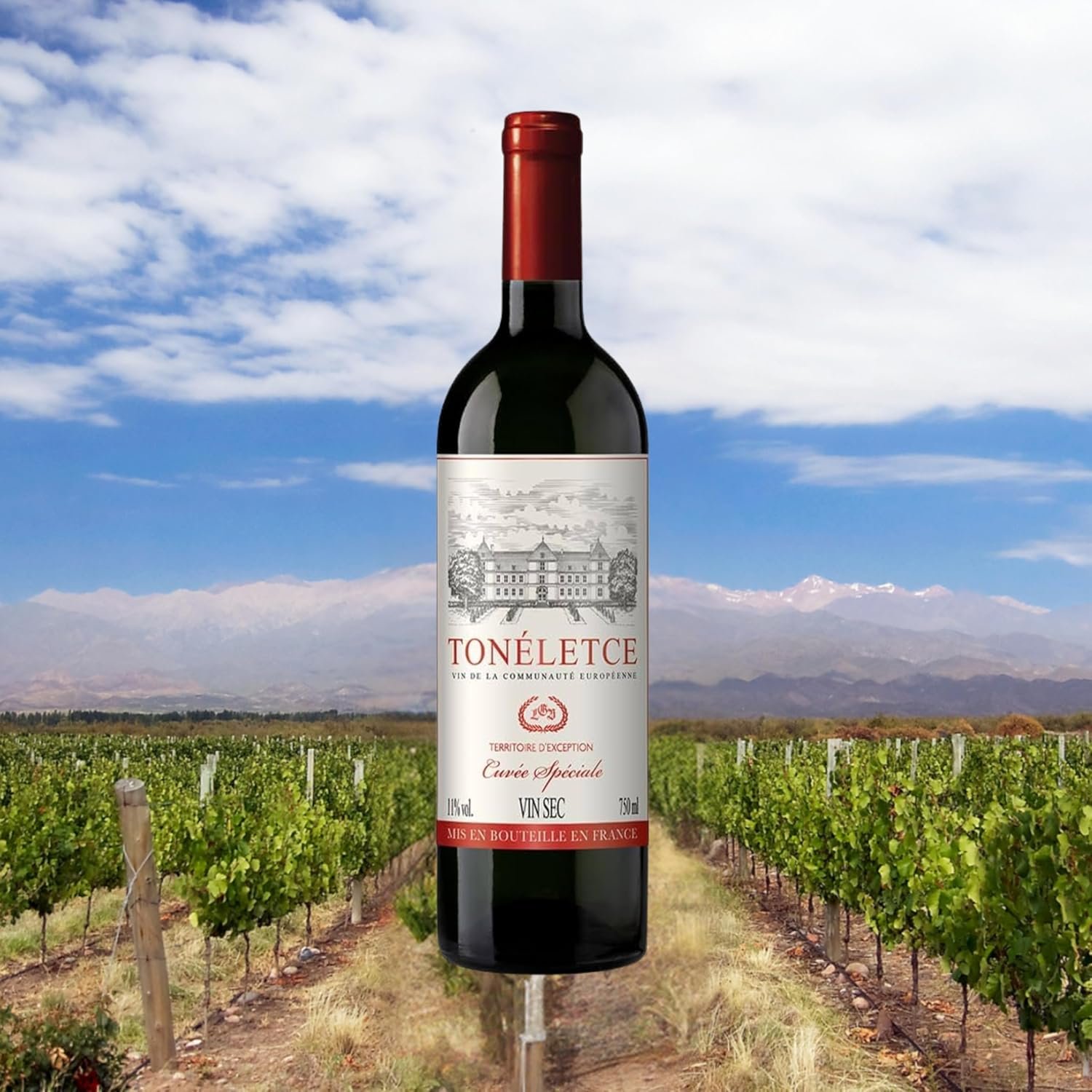 Tonéletce Vinho Tinto Francês 750Ml - Imagem 2