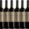 VINHO TINTO ARGENTINO - Dv Catena Malbec Malbec - CX fechada - 6 unidades
